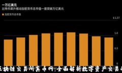 抹茶区块链交易所真币网：全面解析数字资产交